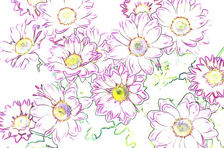 Spring colorful tender