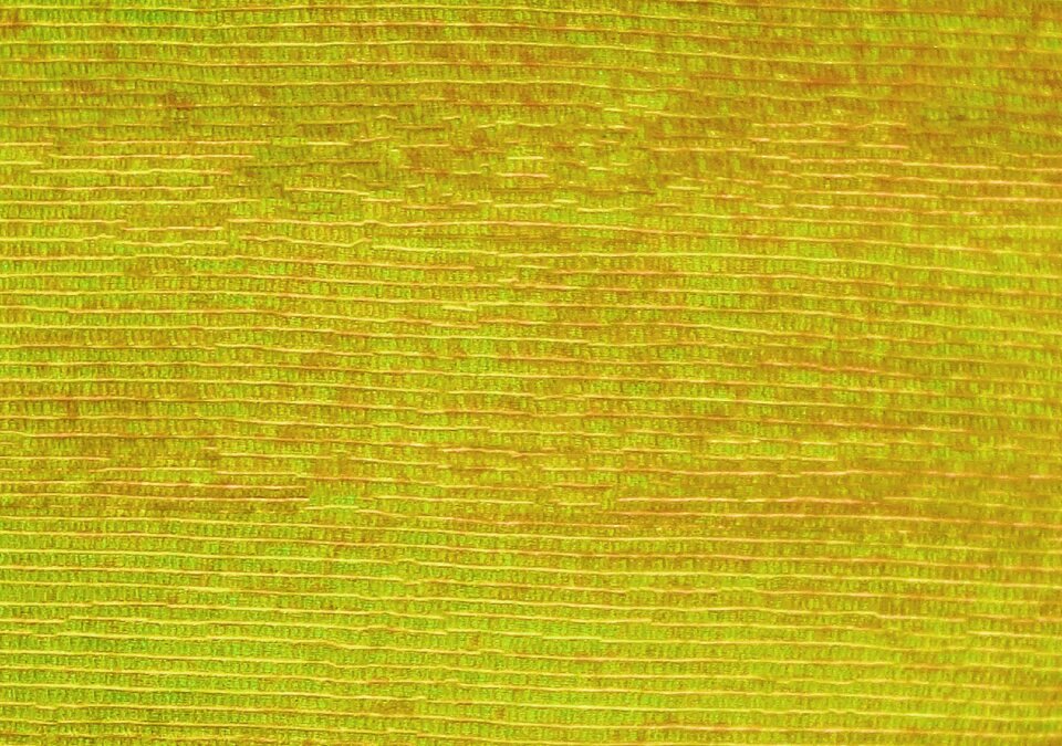Wood wall colorful