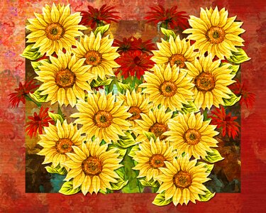 Background backdrop design