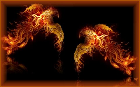 Fire birds fractal Free illustrations