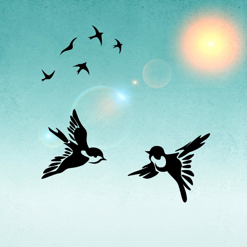 Sunshine background Free illustrations
