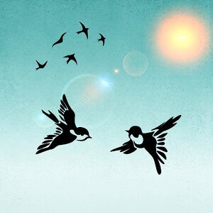 Sunshine background Free illustrations