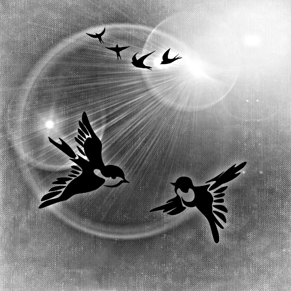 Pair sunshine background