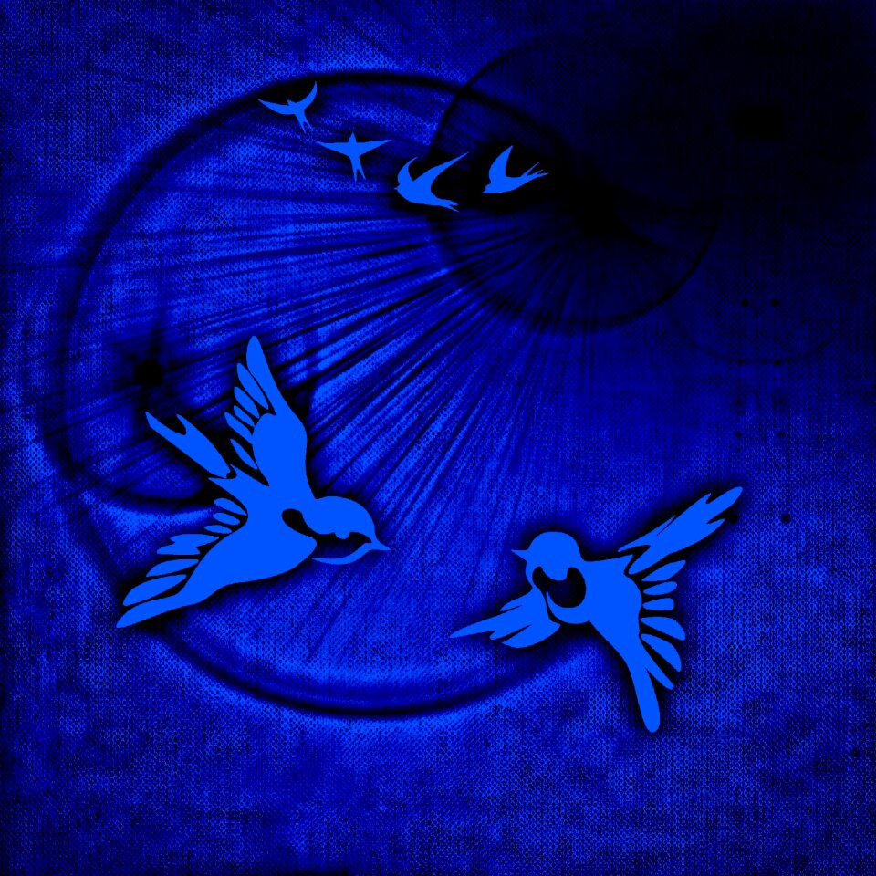 Pair sunshine background