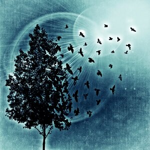 Sun background Free illustrations