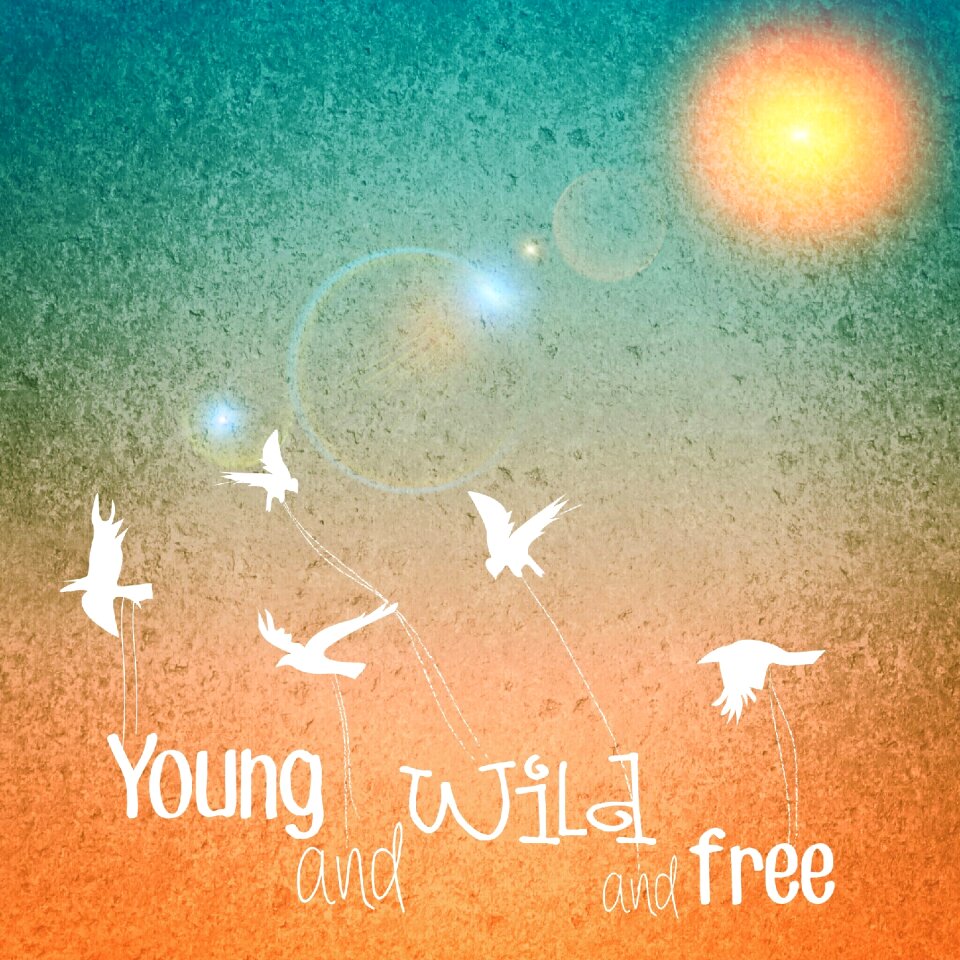 Wild free Free illustrations