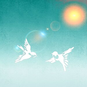 Pair sunshine background