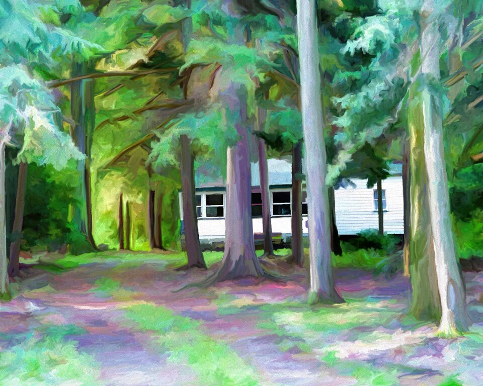 Forest trees digital art