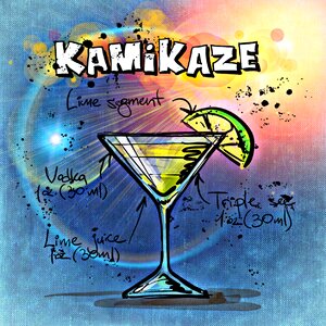 Alcohol recipe party