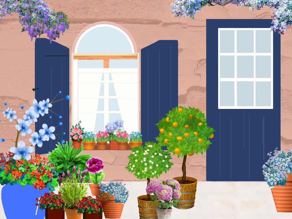 Flowers windows flowering