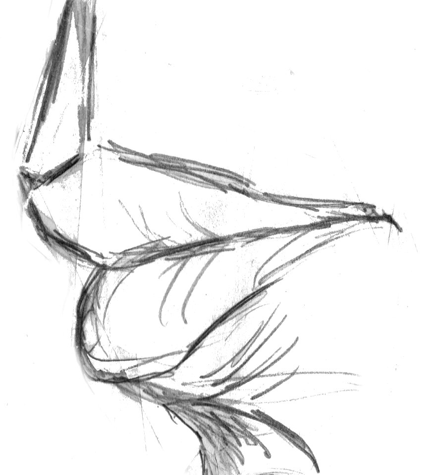 Sketch drawing black and white