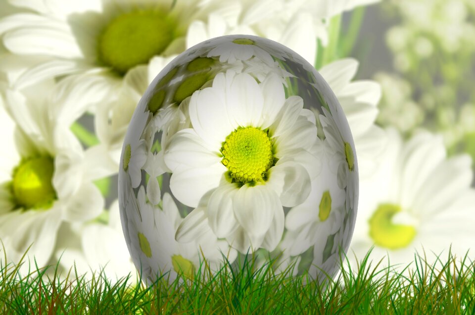 Easter egg flowers spring