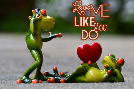 Heart funny frog