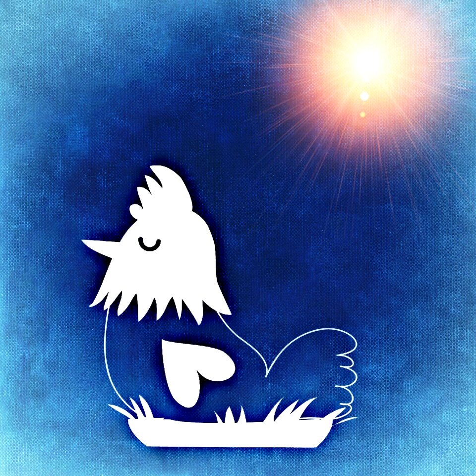Joy greetings embassy