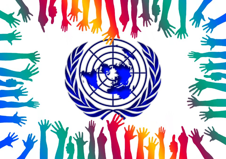 Un world organization