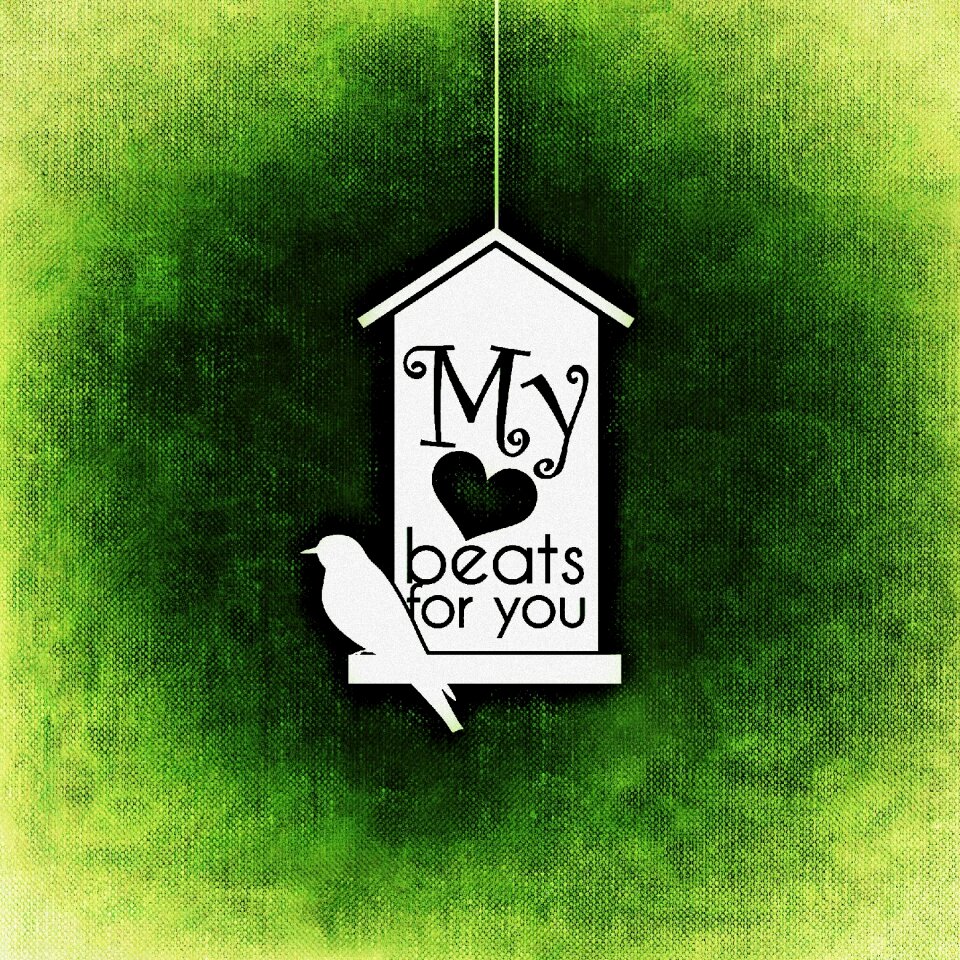 Bird aviary greeting card
