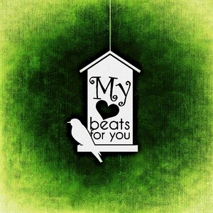Bird aviary greeting card