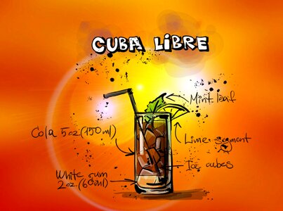 Alcohol recipe party