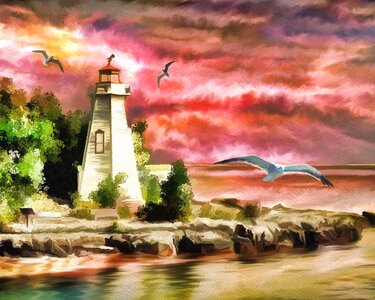Seagulls coast beacon