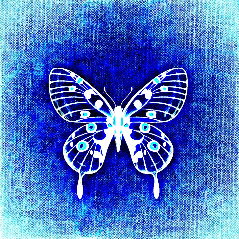 Colorful wing Free illustrations