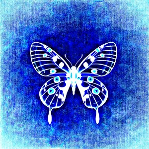 Colorful wing Free illustrations