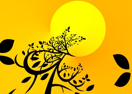 Branches yellow sun