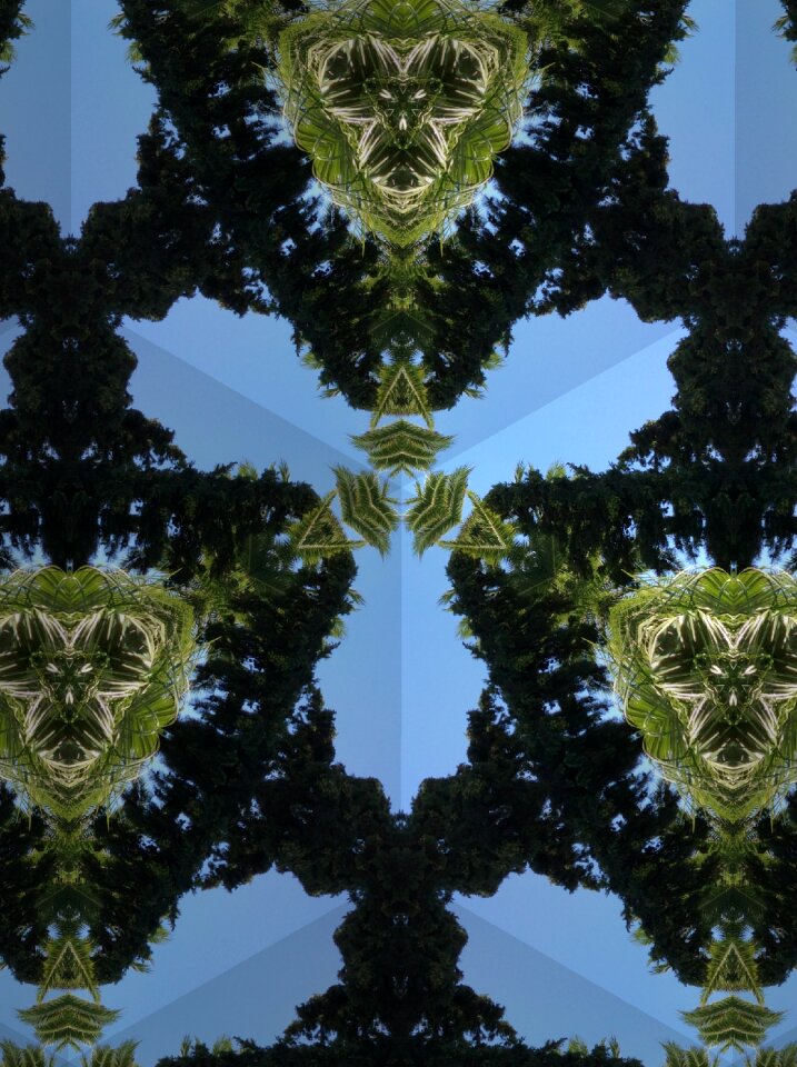 Pattern kaleidoscope Free illustrations