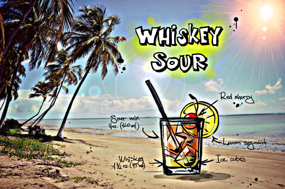 Alcohol recipe party