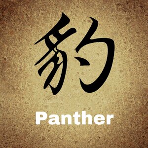 Background panther Free illustrations