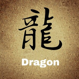 Background dragons Free illustrations