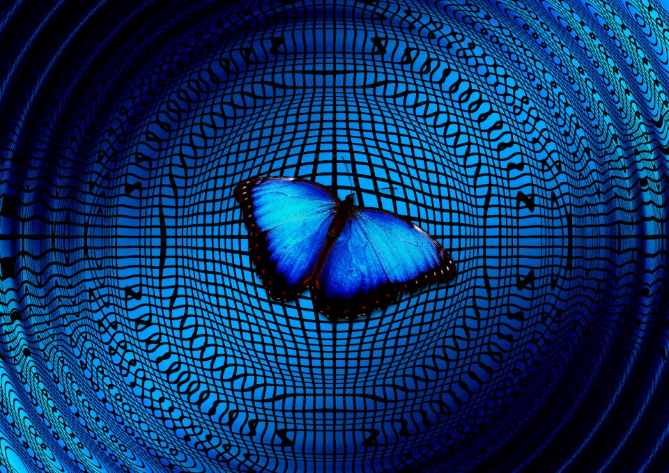 Wing beat butterfly influence
