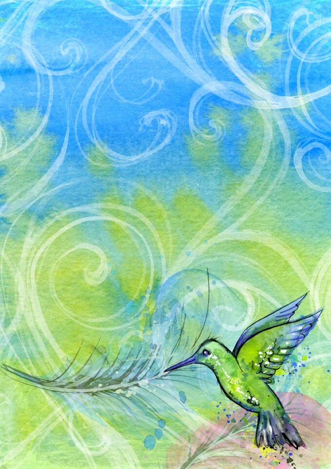 Modern bird hummingbird