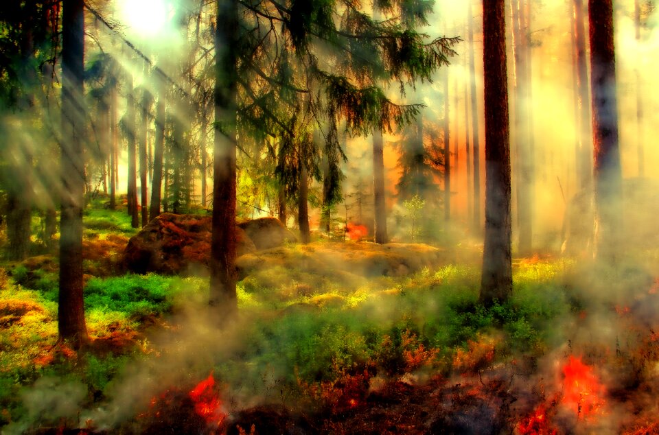 Filter photoshop fairy tales
