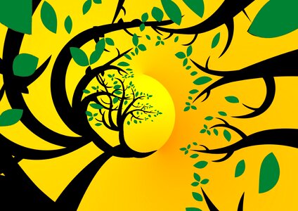 Branches yellow sun