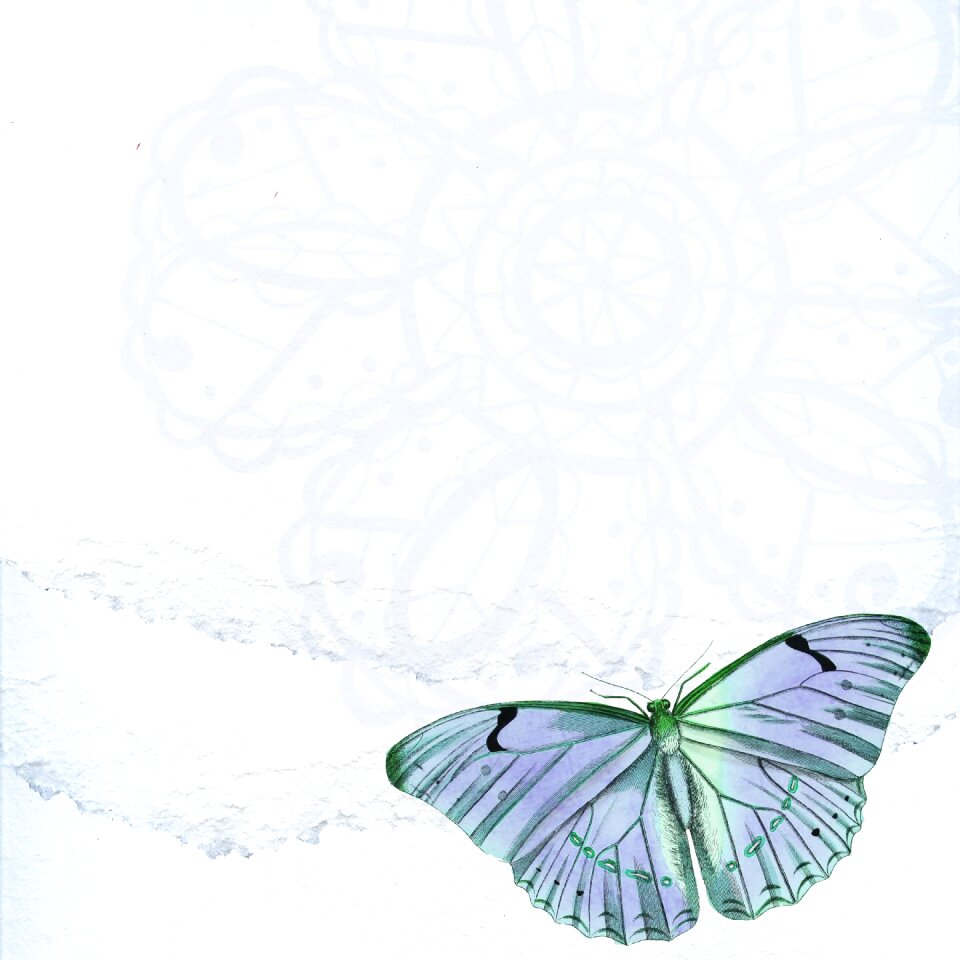 Blue design lace