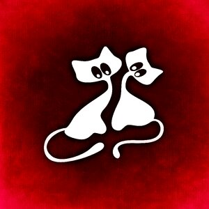 Animals abstract valentine's day