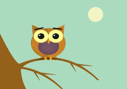 Ave feathers Free illustrations