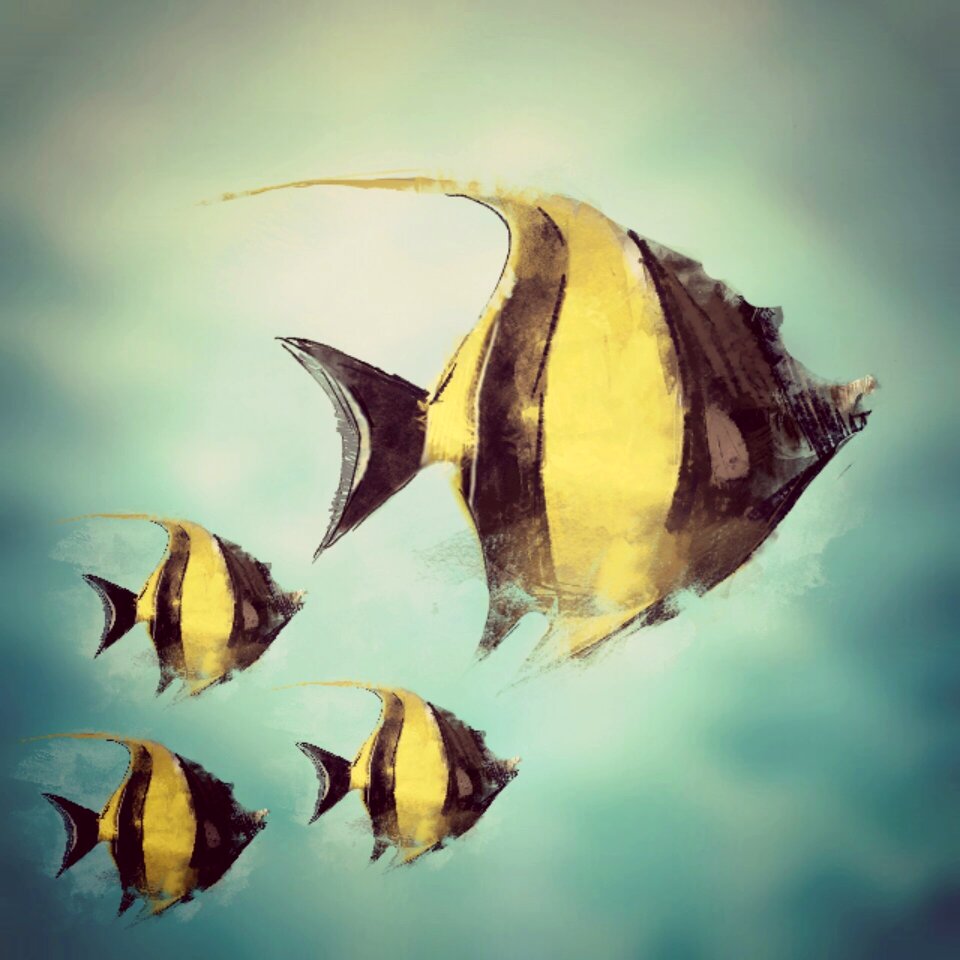 Swim aquarium Free illustrations