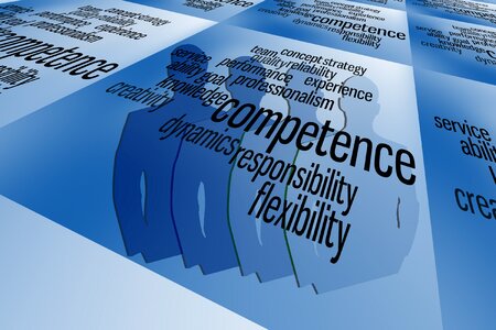 Competence experience flexibility