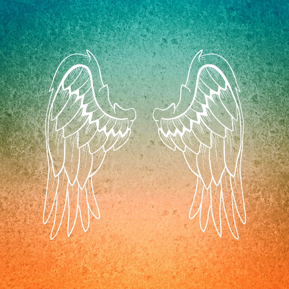 Angel feather Free illustrations