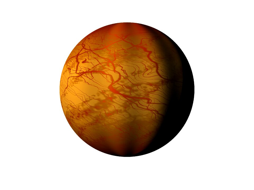 Rock stone geology