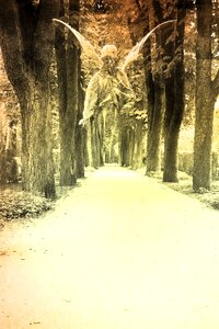 Ghost walk park