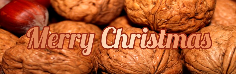 Nuts walnut christmas card