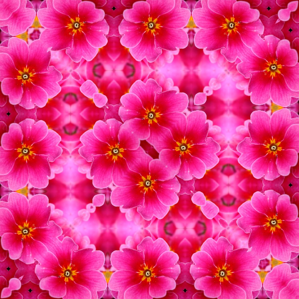 Scrapbooking flowers wallpaper