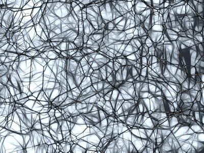Brain structure brain network