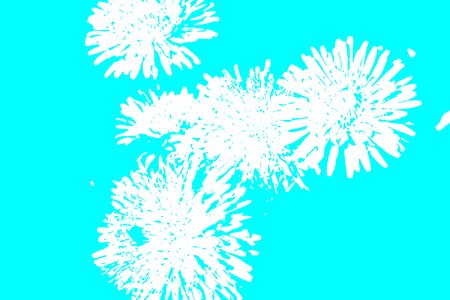 Background white blue
