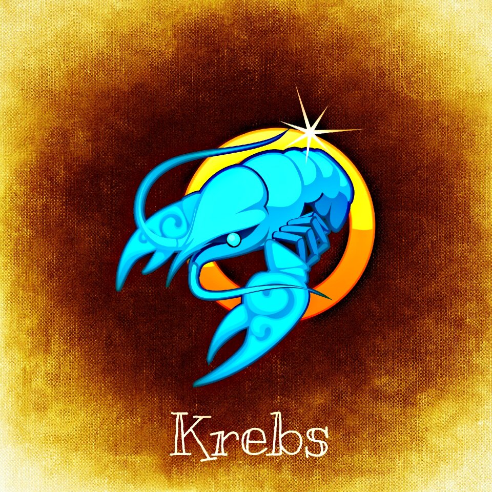 Astrology signs of the zodiac symbol