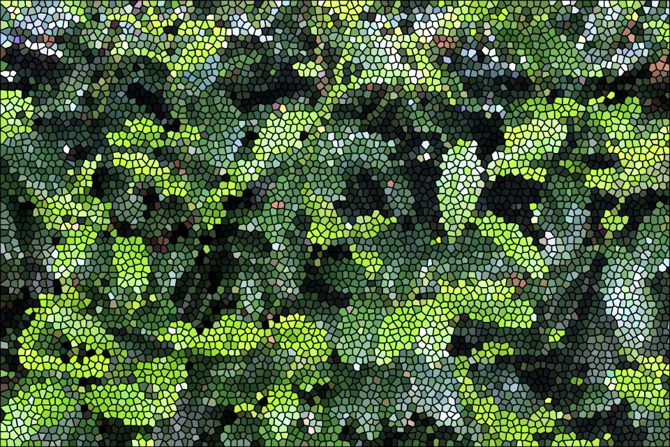 Color green leaves