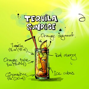 Alcohol recipe party