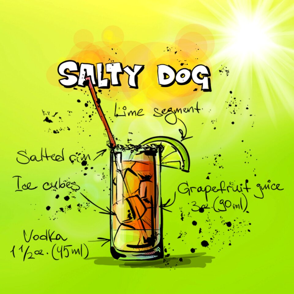 Alcohol recipe party
